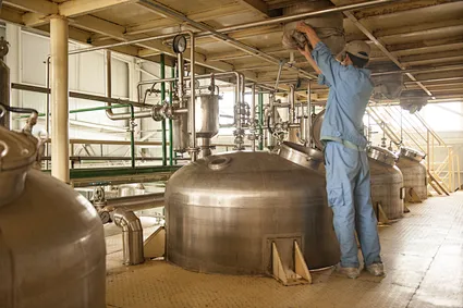 Enzymes protéolytiques de saveur
